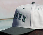 Refuel - (Sage Green) Curved Brim